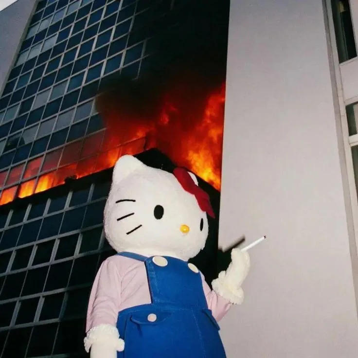 Meme hài mèo trắng ánh nhìn khinh bỉ cộng đồng.