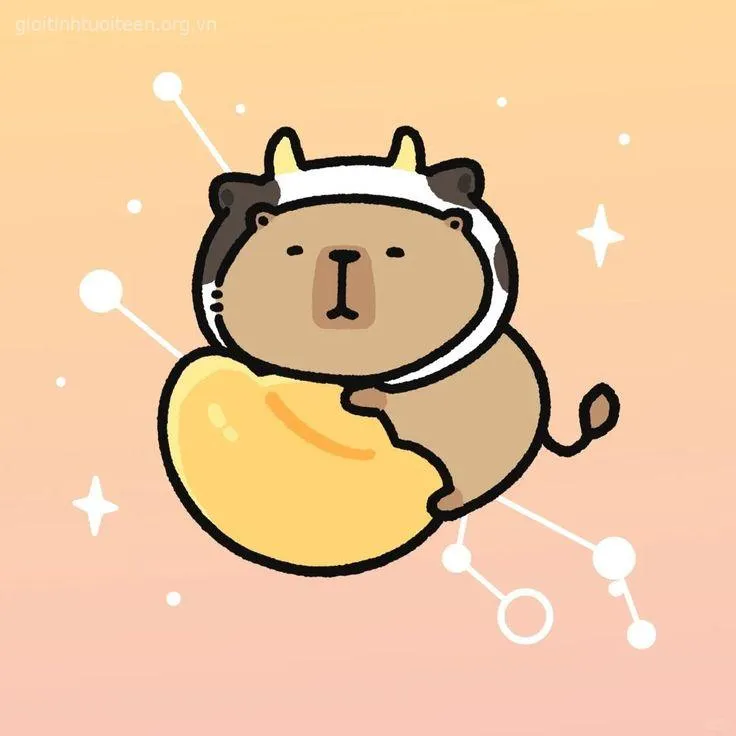 Avatar capybara dễ thương cực vui nhộn.