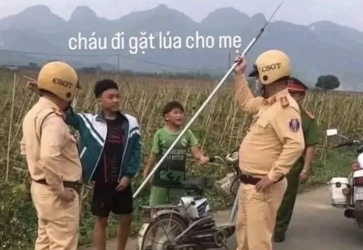 Tổng hợp Ảnh Meme Cầm Phóng Lợn: Từ hành động phản cảm đến trào lưu chế ảnh