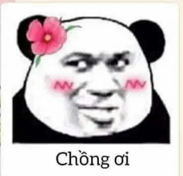 Meme gấu trúc Weibo bá đạo gọi chồng ơi