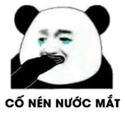 Meme gấu trúc Trung Quốc cợt nhả cố nén nước mắt