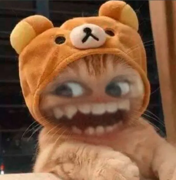 Ảnh đại diện mèo con cười nhe răng