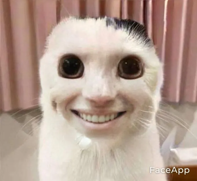 Icon mèo vô tri đáng yêu