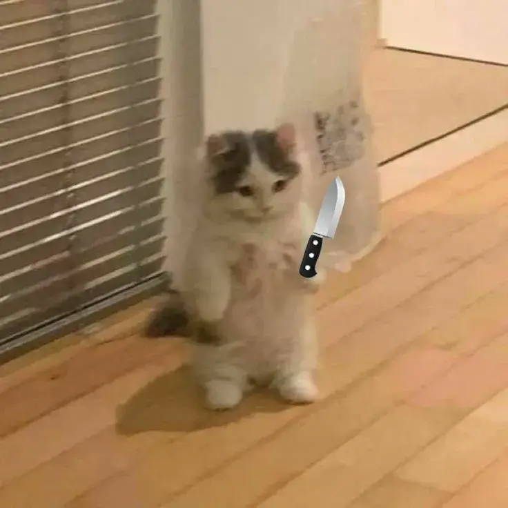 Meme cầm dao giả vờ tức giận siêu hài.