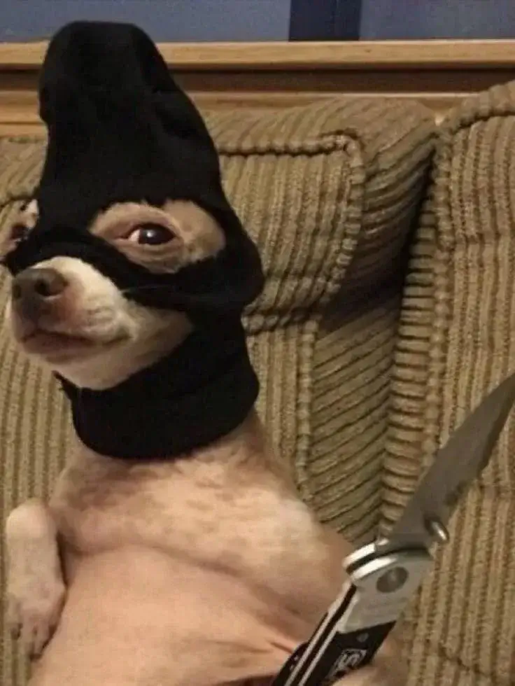 Hình con chó cầm dao trông cực hài.