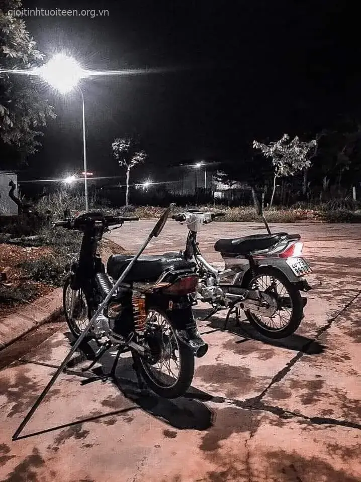 Ảnh chế cầm cây phóng lợn khi đi xe.