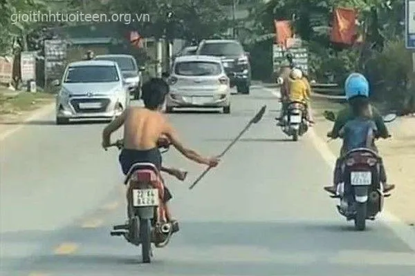 Ảnh hài hước châm biếm hành vi phóng lợn.