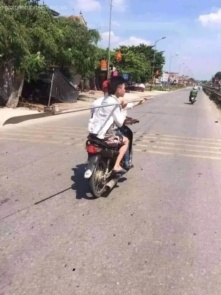 Meme cầm phóng lợn mang dáng vẻ bốc đồng.