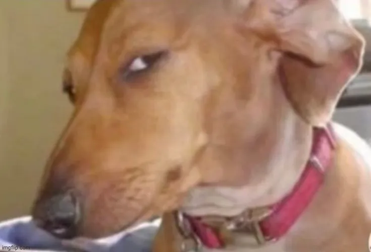 Loạt 48 ảnh Meme Chó Lườm mắt, Liếc mắt mỉa mai, nghi ngờ cực chất