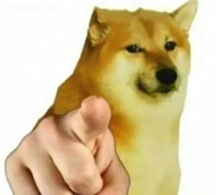 Chó dễ thương chỉ tay với vẻ mặt tinh quái.