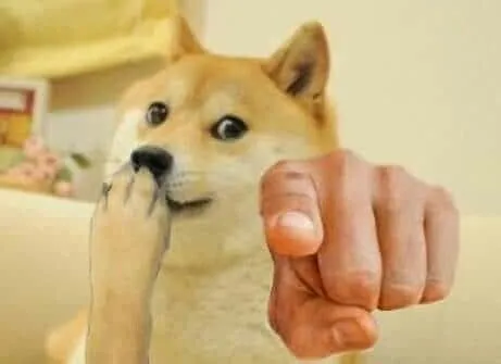 Meme chó chỉ tay vui nhộn khiến trò chuyện thêm thú vị.