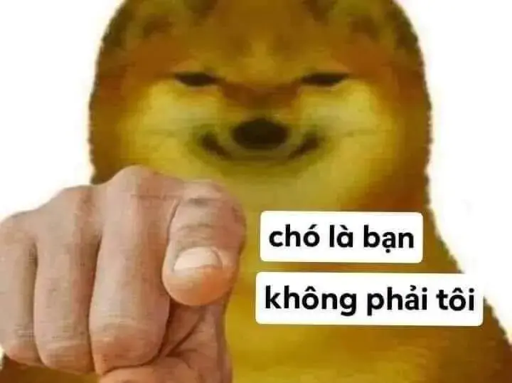 Meme chó Shiba chỉ tay cười khẩy, ánh nhìn châm chọc.