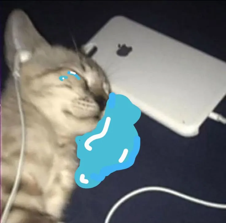 Mèo ngồi lặng trong đêm, ánh nhìn xa xăm đầy đơn độc.