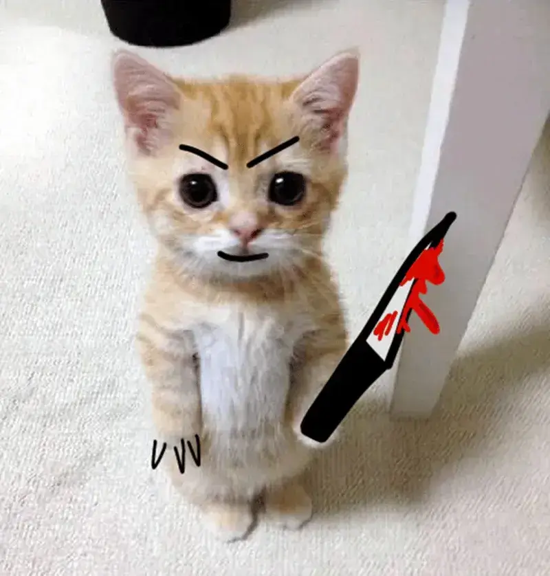 Gương mặt mèo đáng sợ, tay lăm lăm dao nhọn.