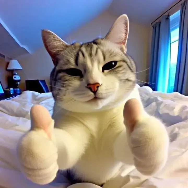 Mèo cute giơ tay oke, ánh mắt tràn đầy thích thú.