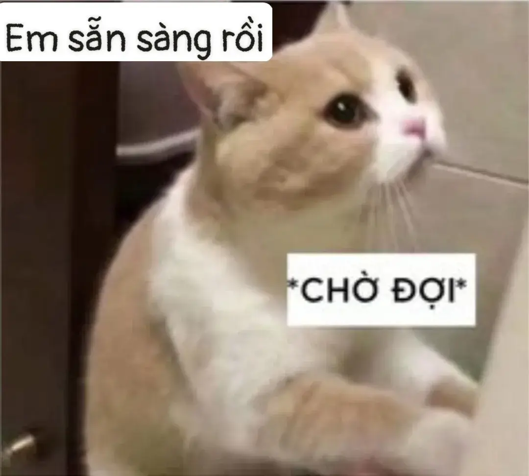 Meme biểu cảm ánh mắt bỡn cợt, nụ cười duyên dáng tinh ranh