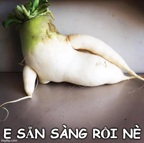 Meme nét mặt tinh nghịch, cử chỉ đáng yêu khiến ai cũng mê