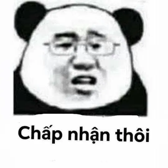 Meme gấu trúc Weibo hài hước: Chấp nhận thôi