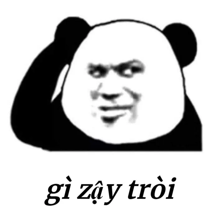 Meme gấu trúc Trung Quốc vui nhộn: Gì zậy trời