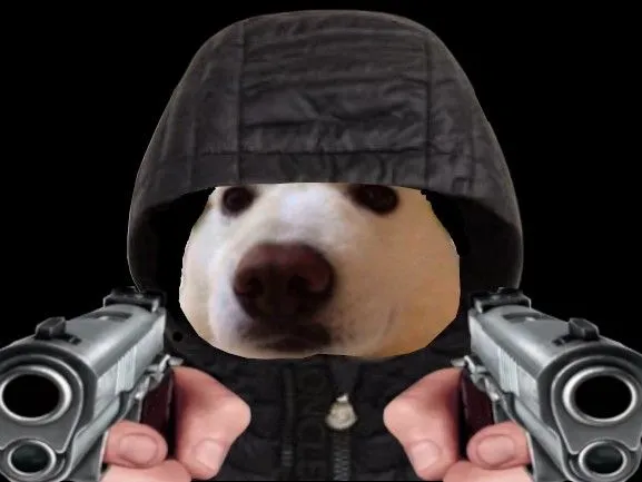 Meme mèo cầm súng khuôn mặt đe dọa nhưng đáng yêu