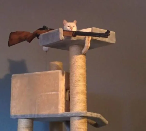 Hình mèo chỉa súng gương mặt lạnh lùng cực chất