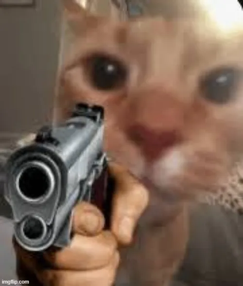 Meme mèo cầm súng đôi mắt giận dữ đầy uy hiếp