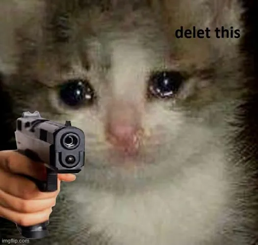 Ảnh mèo bựa cầm súng ngắn biểu cảm giận dữ buồn cười