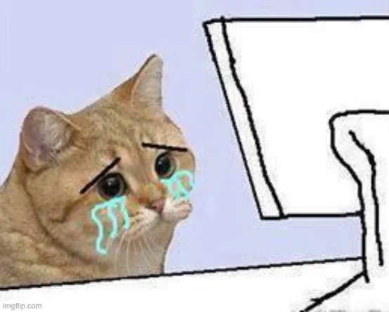 Meme mèo khóc thảm thiết trước máy tính