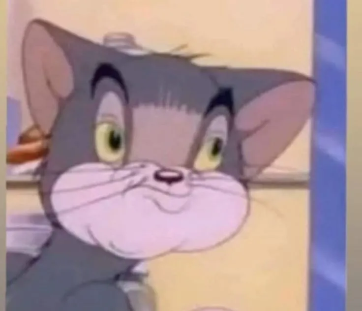 Mèo Tom troll hài, gương mặt ngốc nghếch.