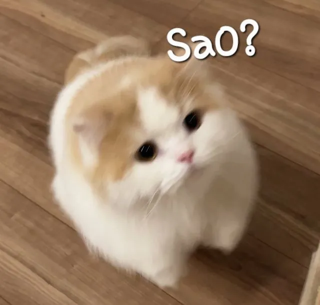 Biểu cảm bối rối ánh mắt sáng rực cực buồn