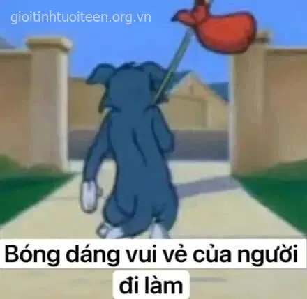 Hình Tom mệt mỏi nằm dài nghỉ ngơi sau ngày.