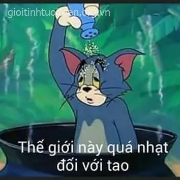 Ảnh Tom buồn thiu khi bị bạn bè bỏ rơi.