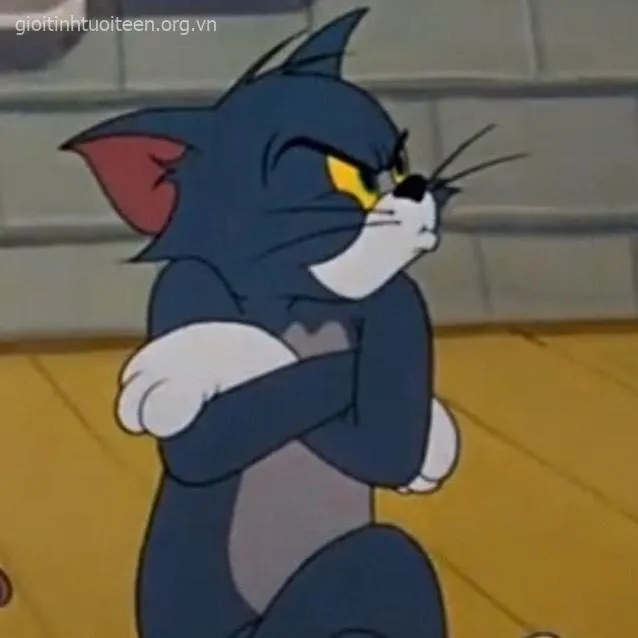 Hình Tom căng thẳng khi bị ánh nhìn soi.