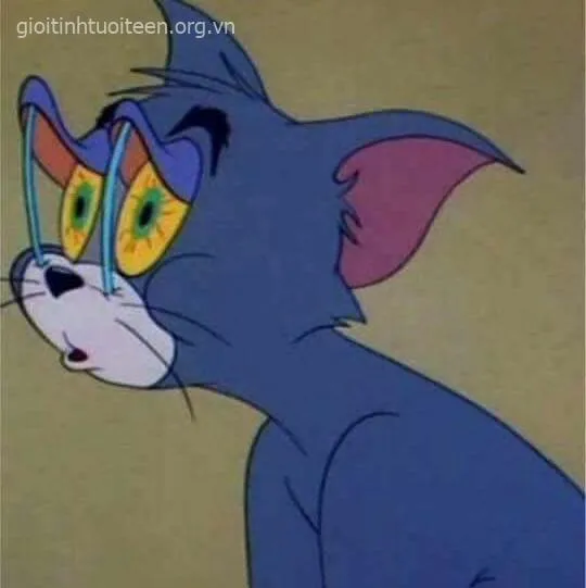 Ảnh Tom vui vẻ giơ tay vẫy chào mọi.