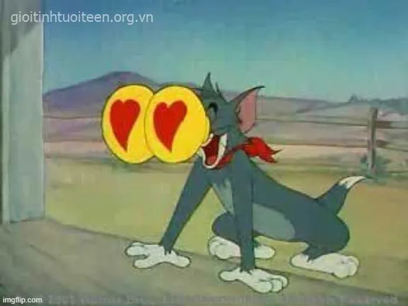 Hình Tom ngượng ngùng che mặt khi bị quê.