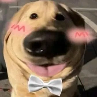 2 Ảnh đại diện chó vô tri gương mặt đơ siêu hài hước.