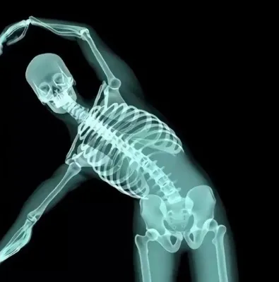 Avatar đôi bộ xương x quang