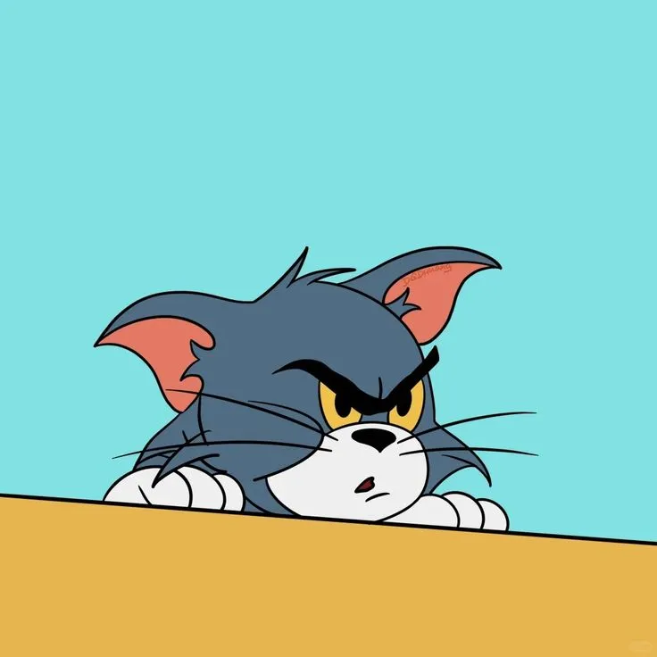 Ảnh đại diện đôi Tom Jerry