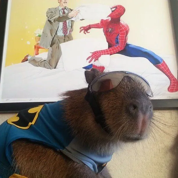 Avatar capybara cosplay Batman cực ngầu.