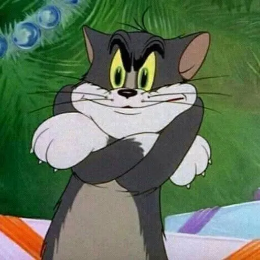 Avatar mèo Tom ngẩn ngơ cực hài Instagram