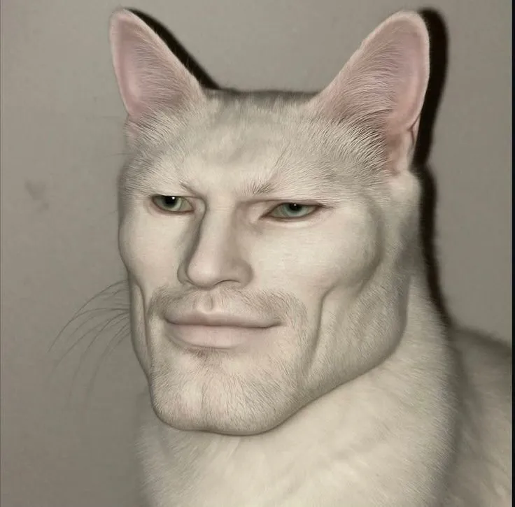 Avatar Instagram con mèo ngớ ngẩn