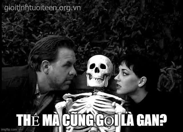 Meme hài hước khiến hội bạn cười lăn bò càng