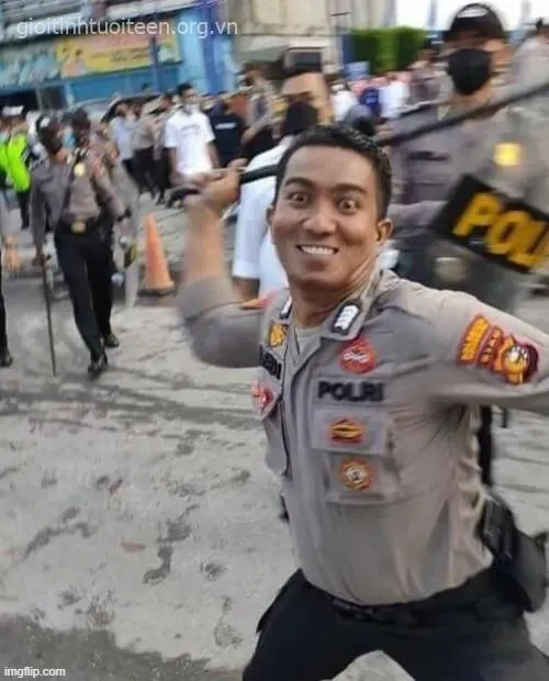 Meme đánh lộn troll siêu hài hước