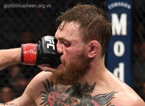 Đánh đòn meme nhây hài cực mặn