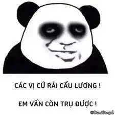 Biểu hiện lờ đờ với đôi mắt sưng húp đáng thương