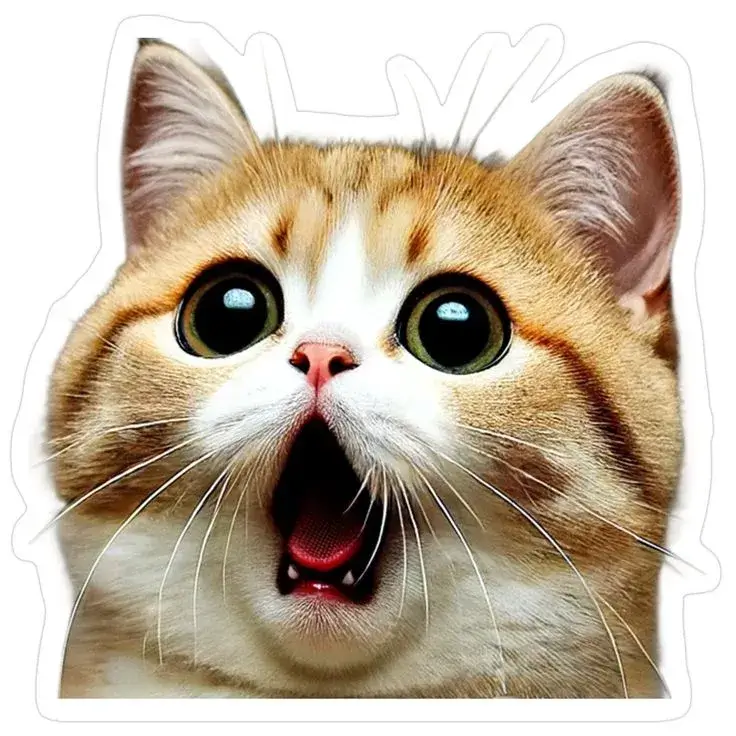 Mèo há mồm sốc nặng ánh mắt trắng bệch