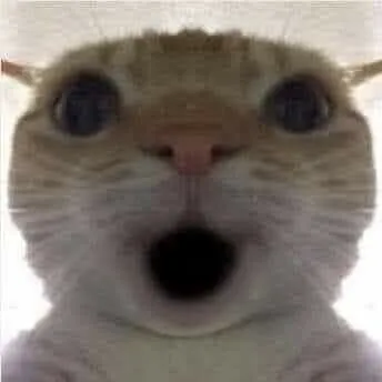 Biểu cảm mèo há mồm cực troll gương mặt buồn