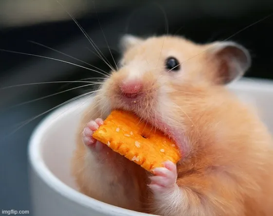 Hình chú chuột khéo léo cực tinh tế