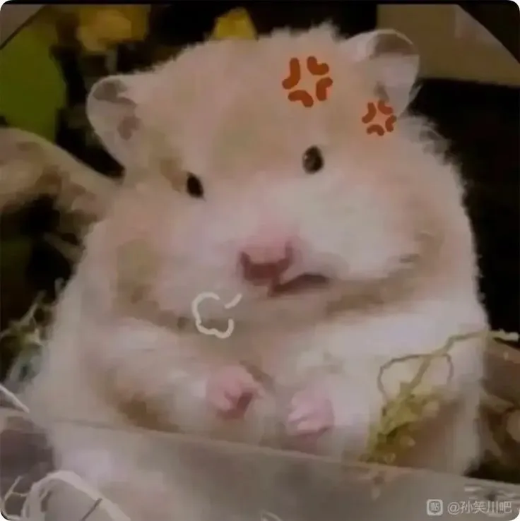 Chú chuột nhỏ biểu cảm rất tức giận