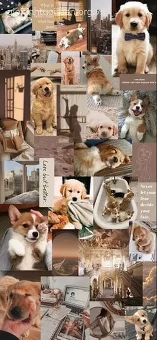 Hình nền điện thoại chó anime lạnh lùng với đôi mắt tím.